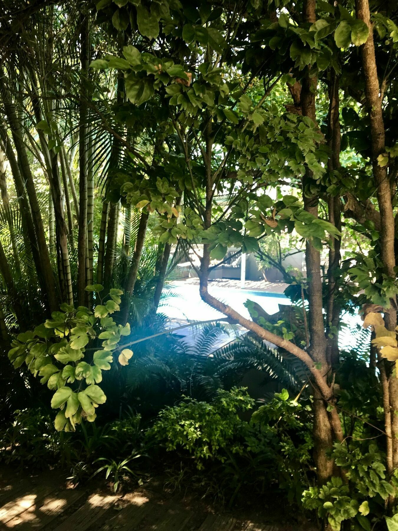 Beach Forest Lodge Ballito Esterno foto